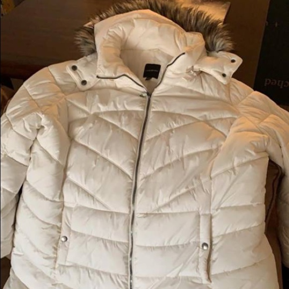 Lane Bryant Winter Coat